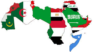 الدراسات الاجتماعية